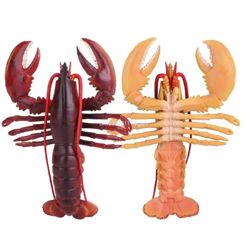 jouets figurines homard en PVC souple polyvalent, avec des designs réalistes, portables à des fins éducatives,