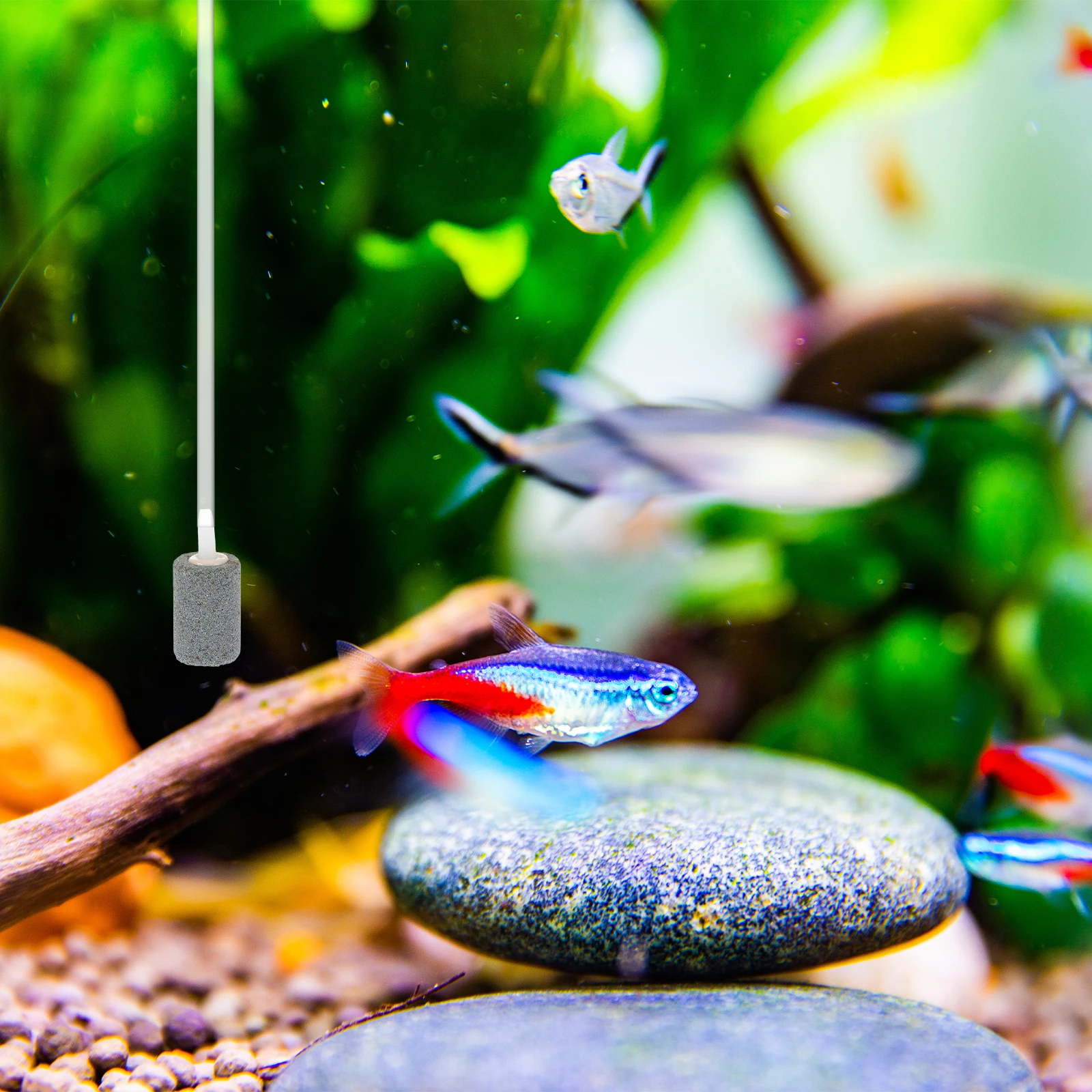

USB Oxygen Pump for Fish Tank Aquarium Aerator Air Supply Accessories Durable High Quality Simple Operation Practical