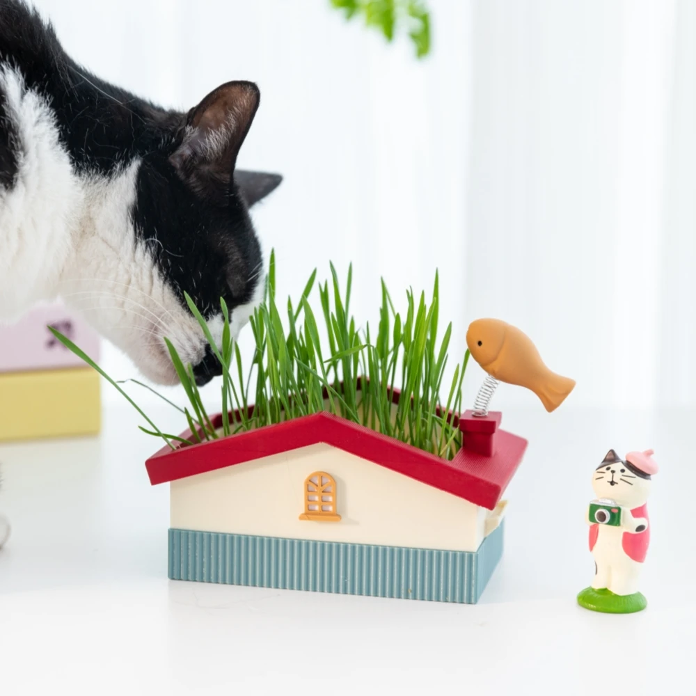 

Гидропонный горшок для выращивания кошачьей травы, беспочвенная коробка для кошачьей травы, гидропонное растение, пищеварение кошачьей травы, теплица, коробка для выращивания