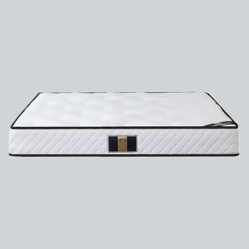 

Queen Extension Bed Mattress Roll High Quality Firm Spring Salon Mattresses Thickness Double Colchon Matrimonial Furniture