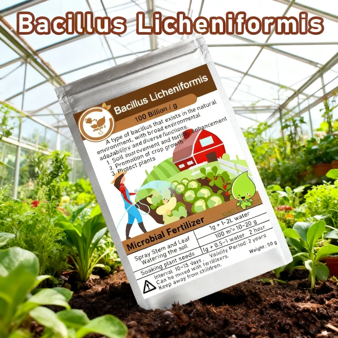 50g Bacillus Licheniformis 100 Billion Microbial Organic Fertilizer Organic Farming Improves Soil Structure & Plant Vitality