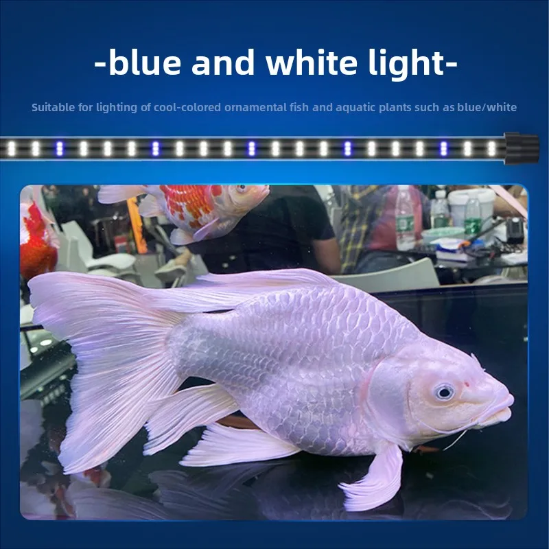 

Светильник для аквариума Arowana, двухрядный, яркий/сине-белый, 5-16 Вт, с присоской, водонепроницаемый IP65, энергосберегающий