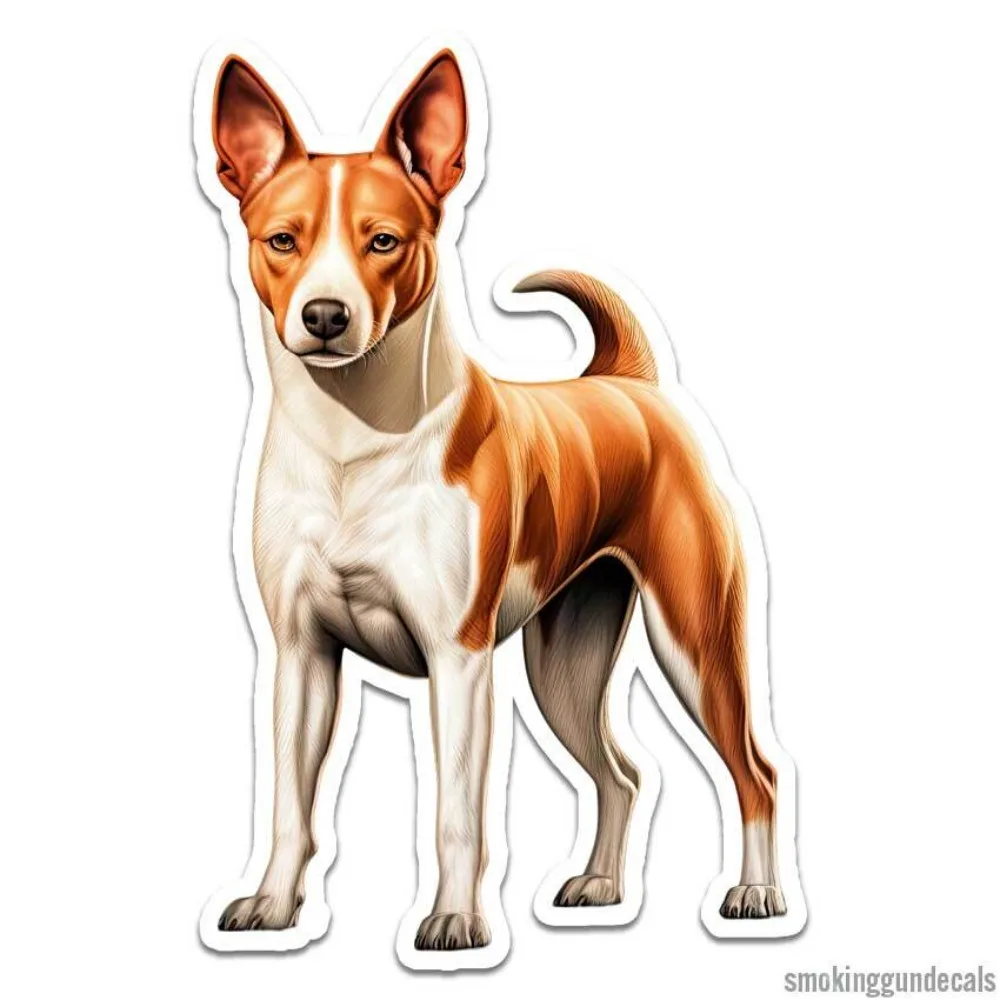 Pegatina de vinilo con diseño de perro Basenji, para interiores y exteriores, impermeable, para coche, portátil, ventana, parachoques, divertida, genial, bonita, vintage, retro, estética