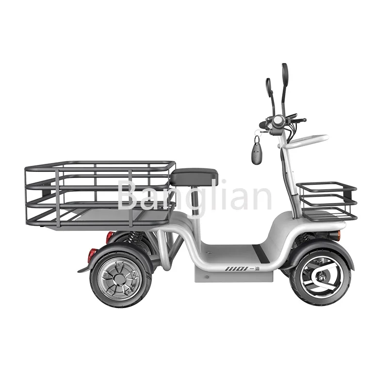 Dual Motor Cargo E Bike with Large Storage Box, Electric Scooter for Sale, 4 Wheels