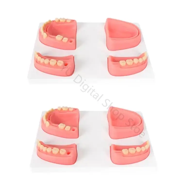 96BA 4-Piece Dental Model Set for Hands-On Suturing Skills Instruction
