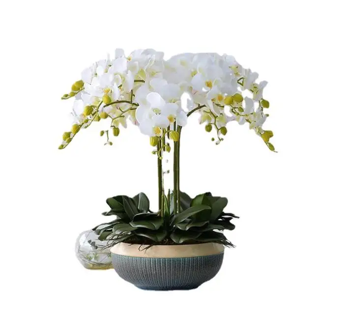 Artificial Orchid Plants True Touch Orchids Flower Plants Large Orchids Potted Plants Home Decoration