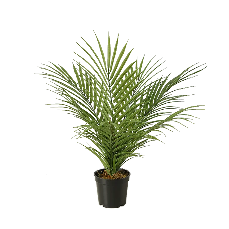 Árbol Artificial falso para decoración de interiores, árbol Artificial para decoración de interior, con fecha, pirmia, palma, Fénix, Roebelenii, 42cm, superventas