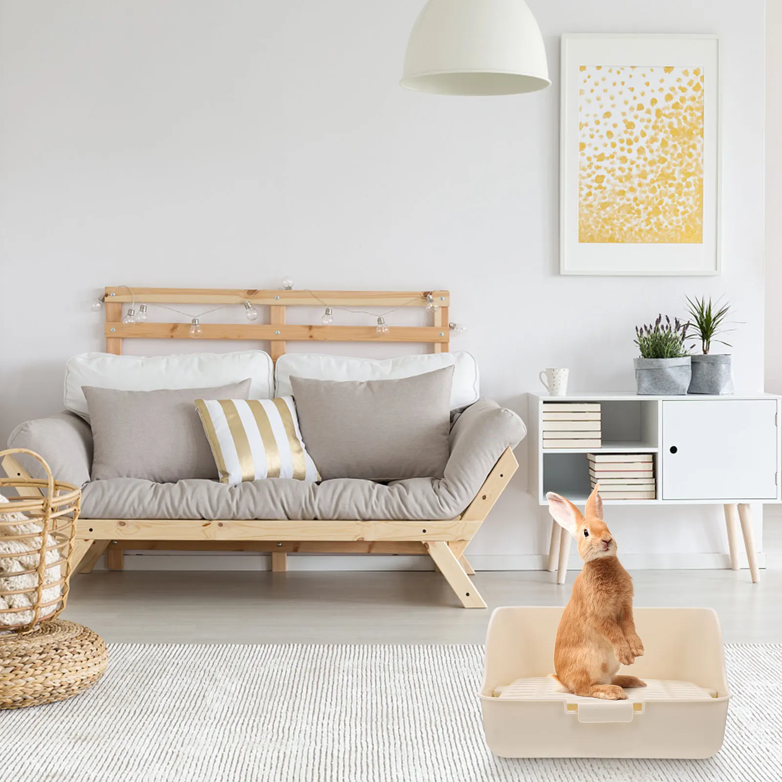 

Potty Rabbit Toilet Pet Bedpan Little Pig Pee Drawer White Corner Small Travel