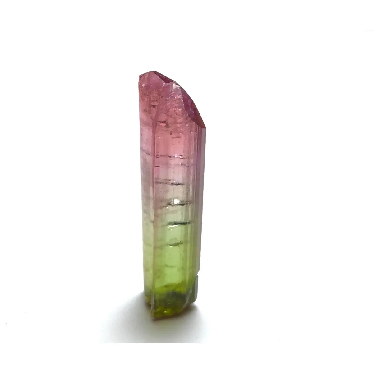 Brazilian Elbaite Rough Stones, 10g 5-15mm Mixed Colors, Display Box for Jewelry Making & Wire Wrapping Supplies