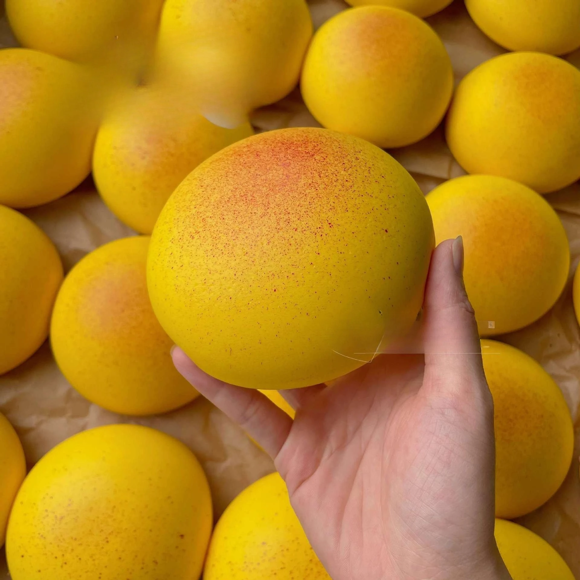 لينة الموحلة الفراولة الجبن الخبز ضغط الإصدار أداة ضغط اسفنجي DIY الضغط انتعاش بطيء اليد الاسترخاء هدية #6