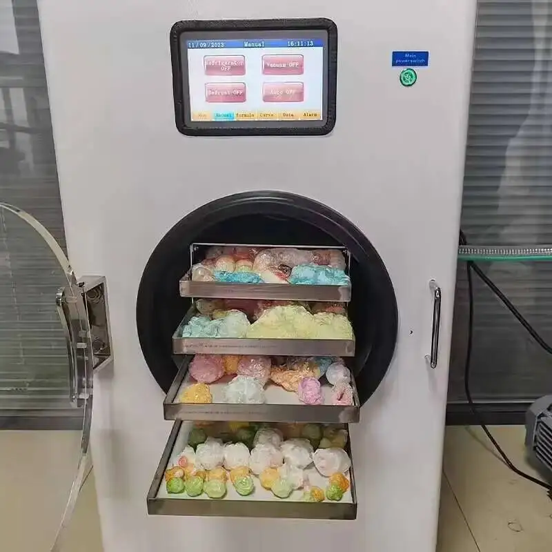 Freeze Drying Machine Vacuum Freeze Drying Machine Pet Food Fruit Dried Cordyceps Laboratory Small Freeze Drying Equipment