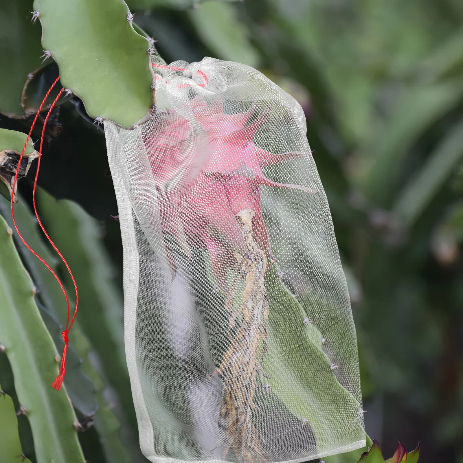 

25pcs Insect Mesh Cover 30x20cm Fruit Mosquito Netting Drawstring Insect Proof Cover For Plant Protector Garden