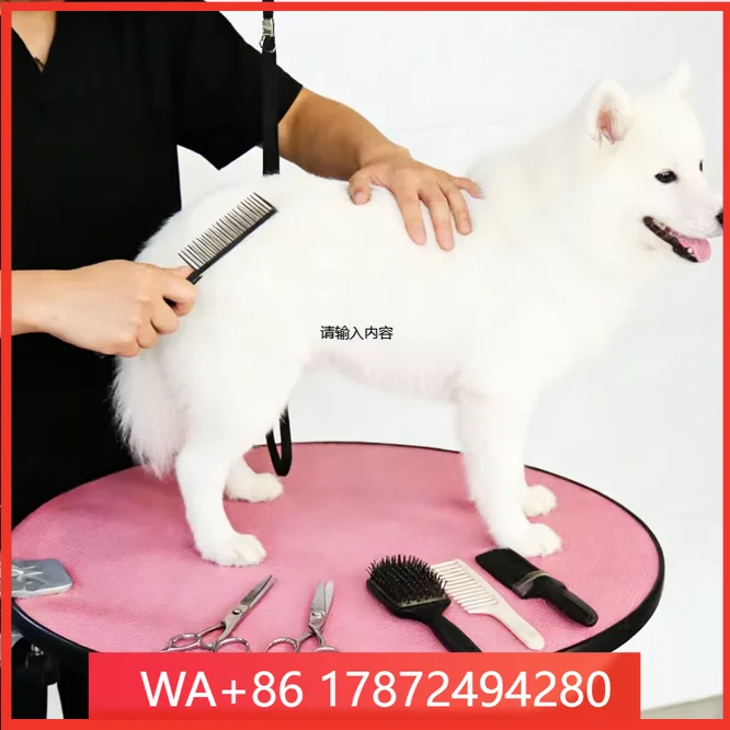 Pneumatic Grooming : a Pet-Specific Grooming Station Designed to Help Your Furry Friend Look More Beautiful and Elegant