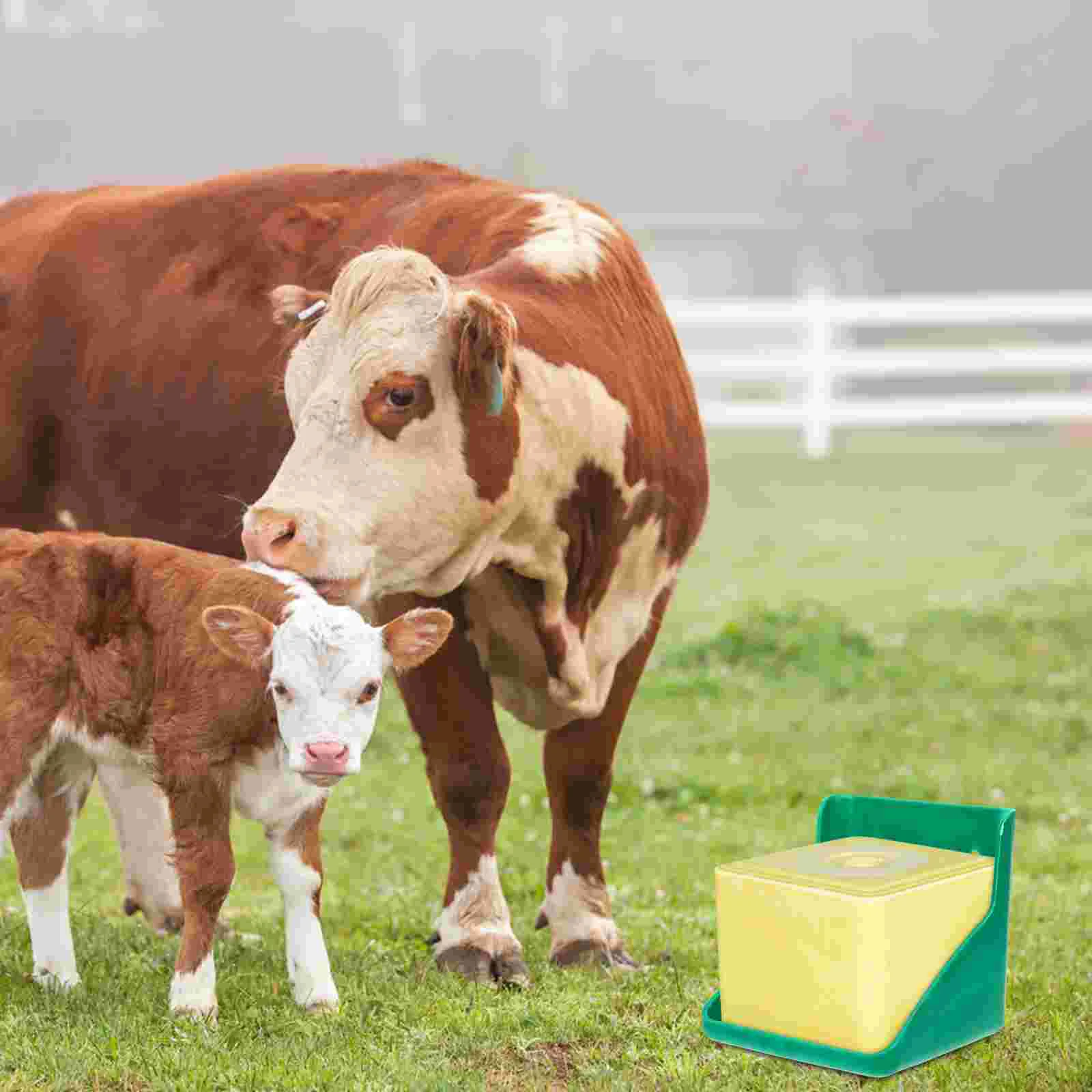 Cattle and Sheep Licking Block Box Tray with Salt Bricks Farm Feeder Rack Livestock Professional