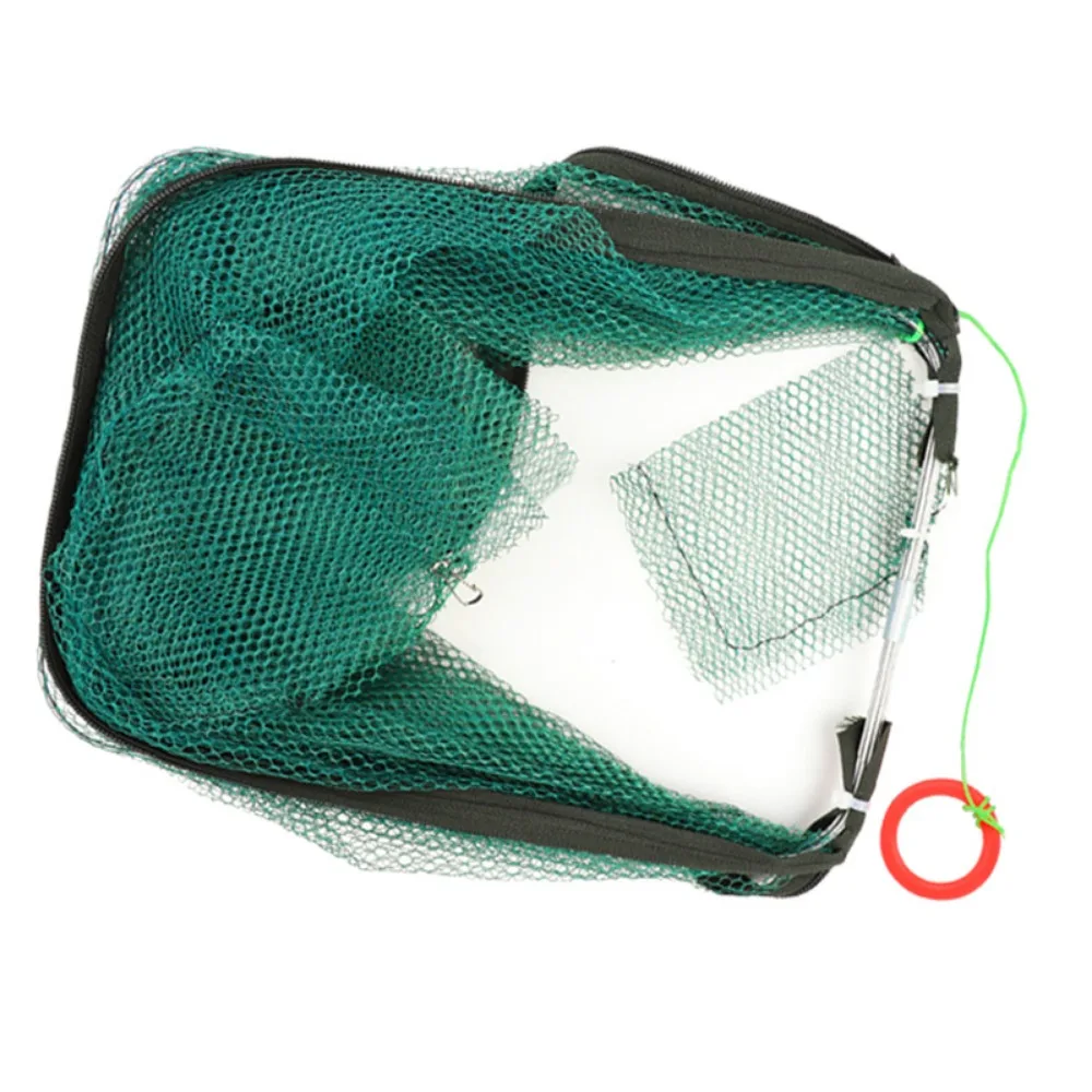 #27 Compare Fishing Traps Before You Buy