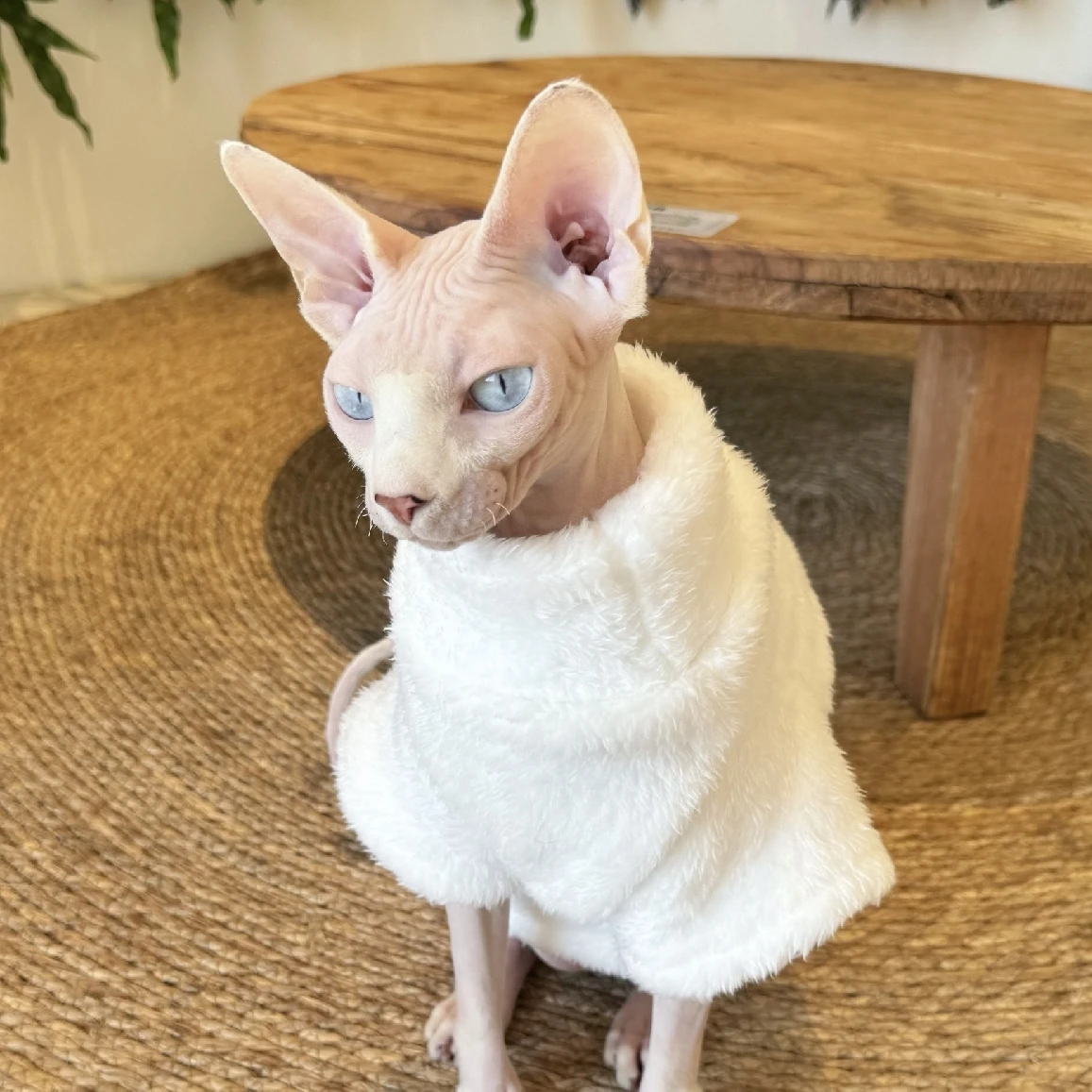 Sphynx Cat Turtleneck Lamb Wool Sweater Hairless Cat Clothes Thick Warm 4-legged Coat Fleece Jumpsuit for Devon Rex