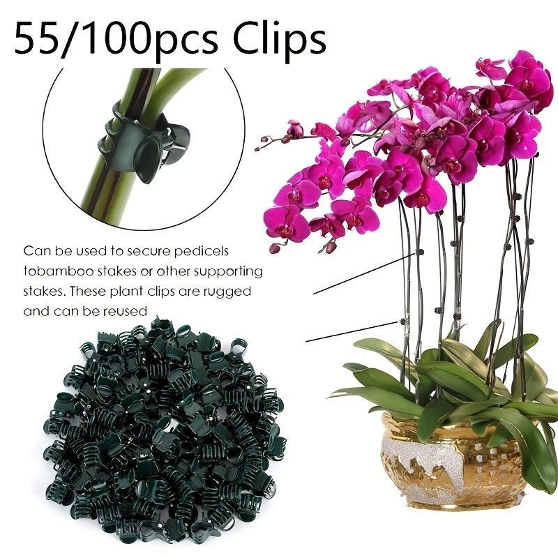 50pcs Plastic Garden Plant Clip Dark Green Vine Support Clips For Phalaenopsis Graft Orchid Stem Gardening Accessories