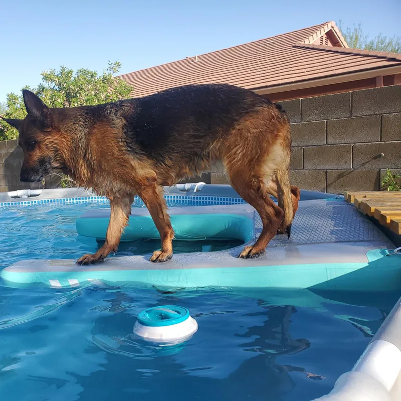 Rest floating platform, medium and large dog slope climbing ladder, floating mat, inflatable floating bed, dog board - view 3
