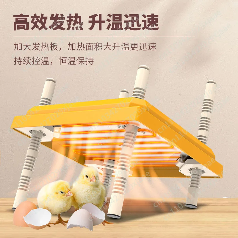 Breeding heating plate, chicken heater, breeding brooding heating plate