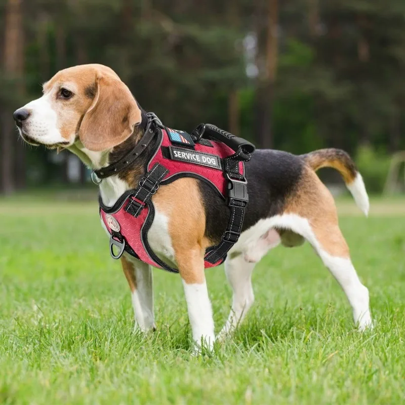 

Explosion-proof Shock-absorbing and Comfortable Night Reflective Pet Chest Strap Dog Vest-style Traction Chest Strap