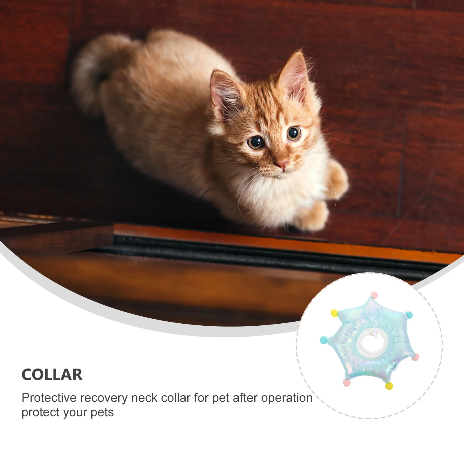 

1pc Pet Anti- Design Lightweight Durable Recovery Neck Collar For Cat Surgery Colorful Fun Shape Pet