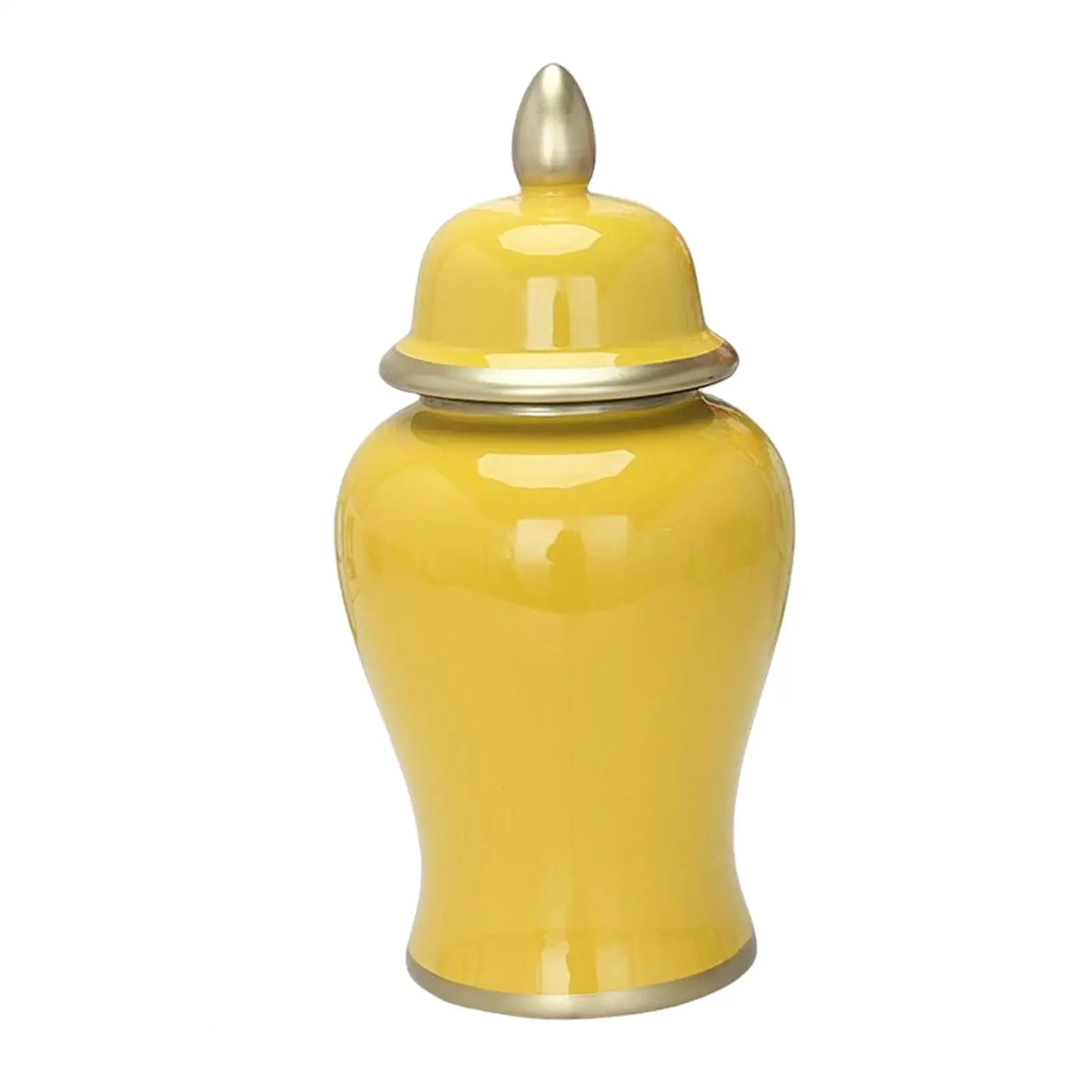 Exquisite Ceramic Vases for Stylish Home Decor and Flower Arrangements