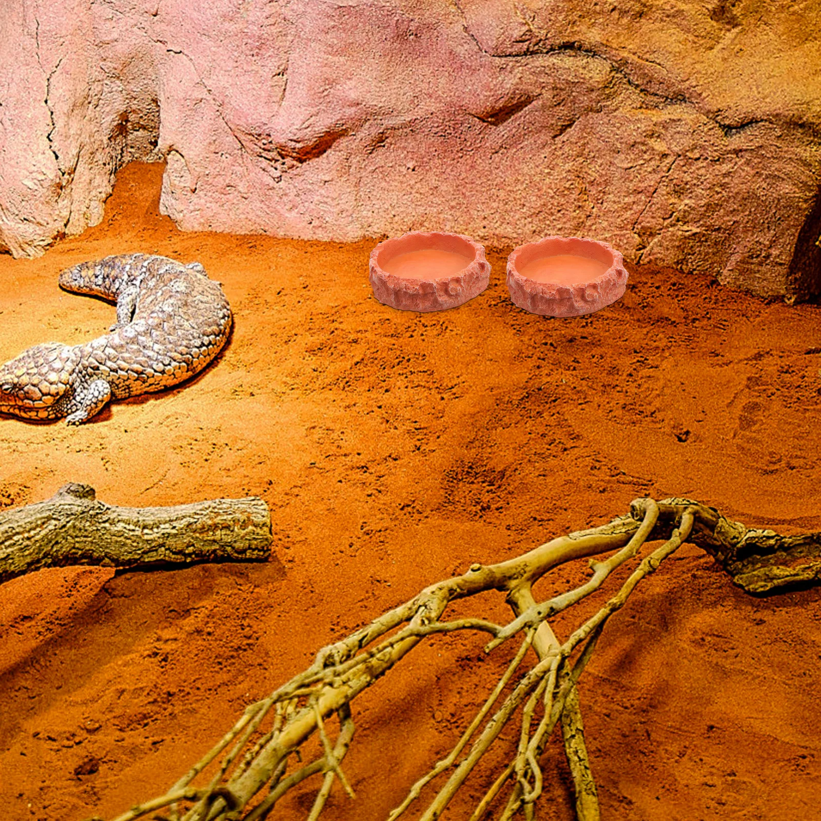 

Reptile Water Dish Resin Feeding Bowl for Lizards and Small Animals Food Holder Stable Spill-Proof Terrarium Feeding Bowl