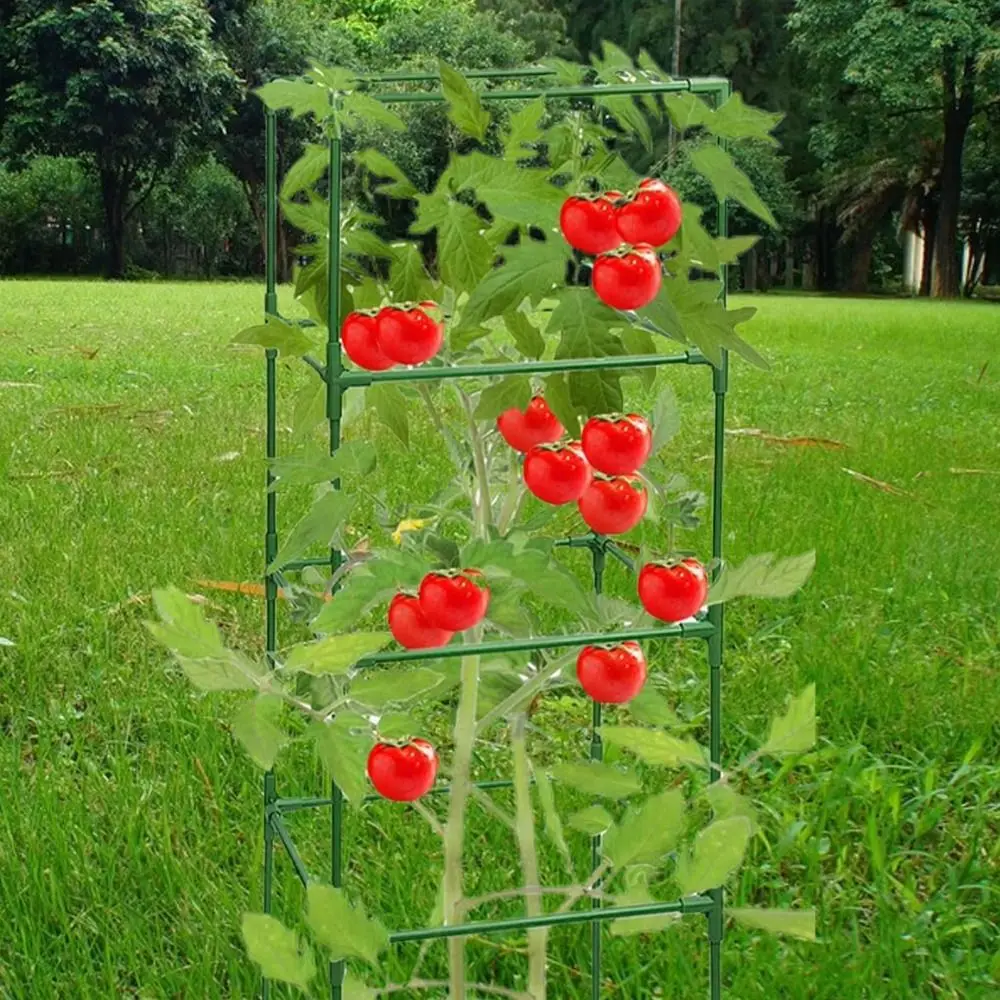 Durable Plant Climbing Trellis Heavy-Duty Steel Space-Saving Tomato Cages Square Design Easy Assembly Vegetable Trellis