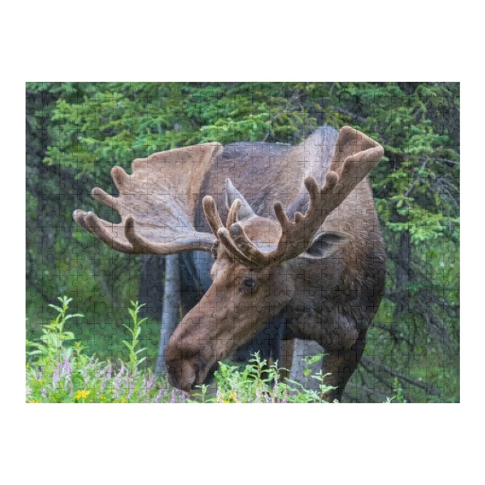 

Wild Male Moose with Antlers in Alaska Jigsaw Puzzle Custom Wood Wooden Name Custom Puzzle