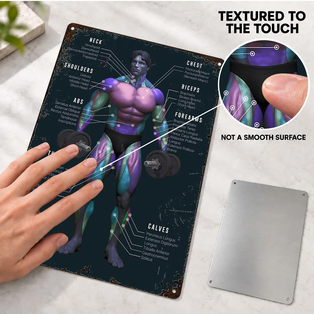 Muscle Chart Anatomy Gym Printed Poster Customized Aluminum Metal Sign Graphic Educational Wall Art For Classroom Trainer Gift