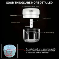 2027 250ml Mini Rechargeable Garlic Chopper Meat Grinder Durable and Sturdy Suitable for Crushing Garlic Chili Onions Minced Mea 5