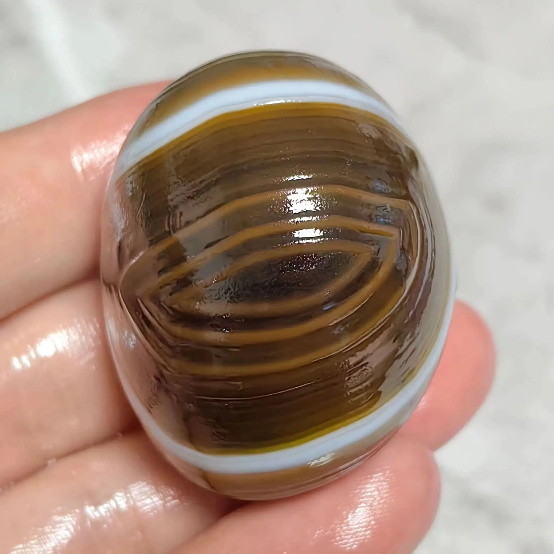 Natural Alxa Gobi Agate Eye Stone Unique Concentric Pattern Mineral Specimen for Collection & Home Decor