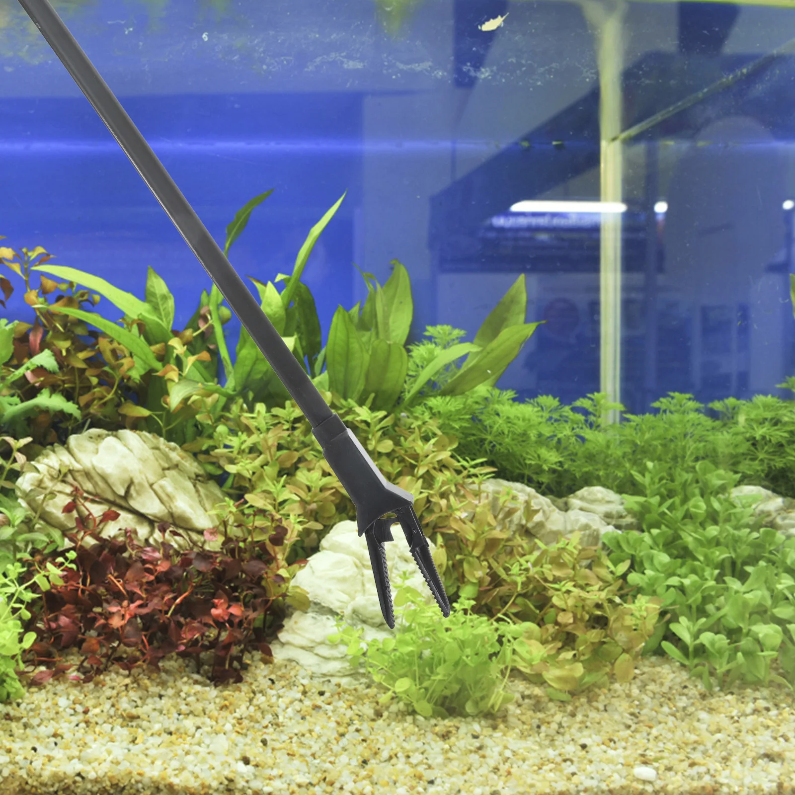 

2pcs Waterweed Tweezer Black Plastic Aquatic Plant Cleaning Tool For Fish Tank Aquarium Supplies Landscaping Tools Water Plant