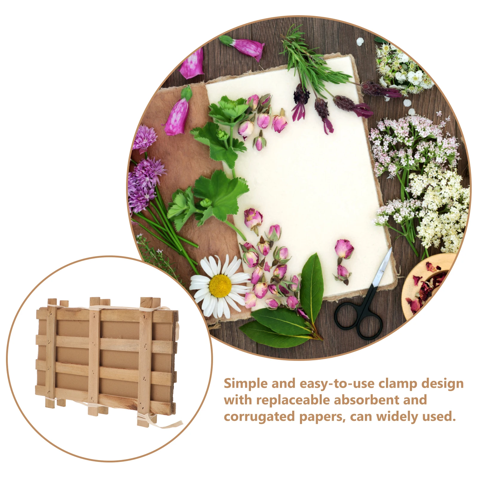 

Wooden Plant Clip Set 34x25cm 9 Absorbing Papers 6 Corrugated Papers Herbariums Craft Projects Educational Tool Specimen Making