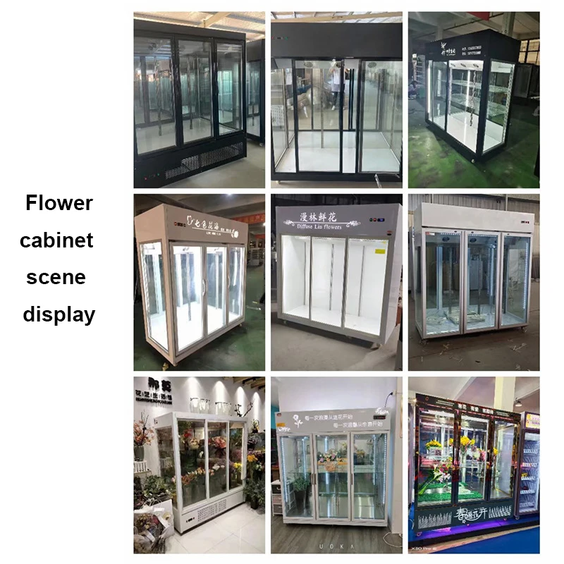 Commercial Electric  Flower Floral Cabinet Freedom Fridge Fish Meat Refrigerator Cabinet Fridge Cooler for Rose