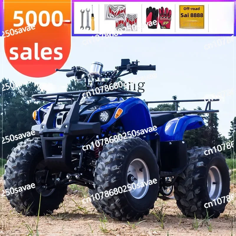 

Quad Motocross ATV Electric Mountain Adult All Terrain Venue