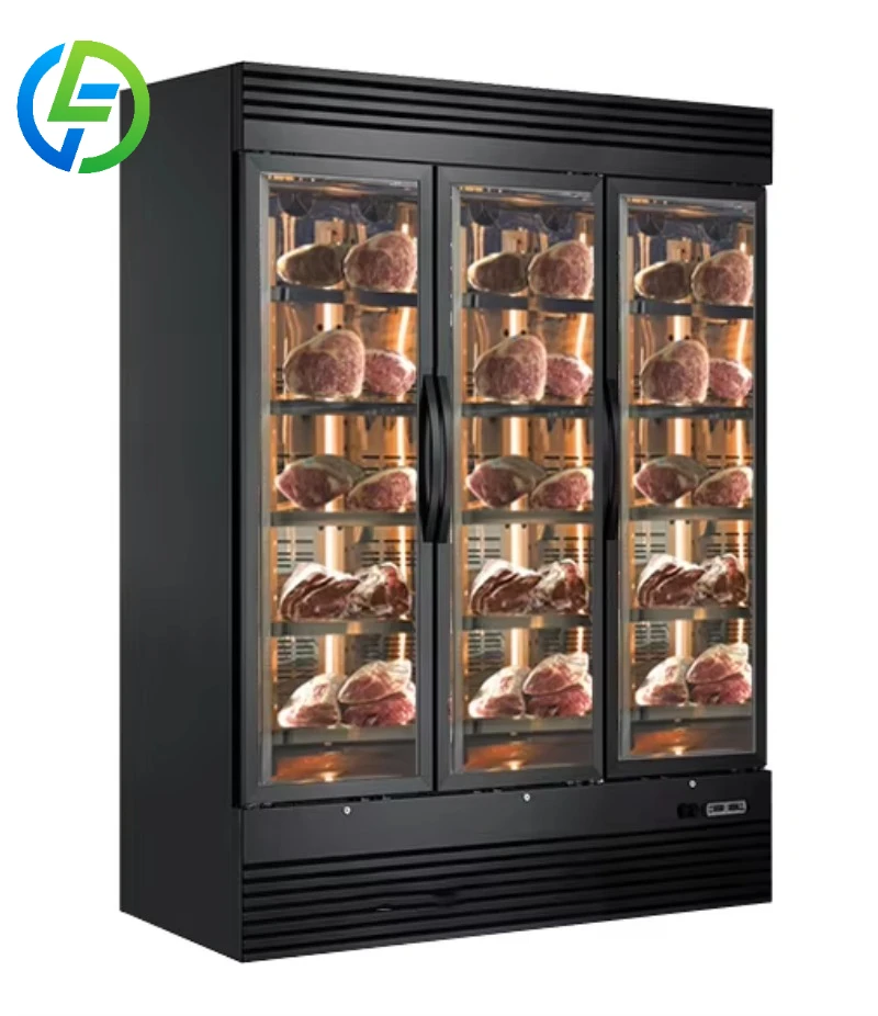 Customize Commercial Storage Beef Aging Freezer Refrigerator Beef Dry Ager Meat Fridge Refrigerator for Restaurant