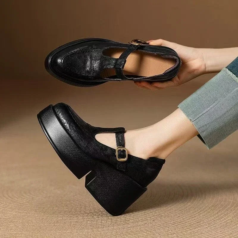 Chunky Platform High Heels Pumps Women Spring PU Leather Ankle Buckle Mary Jane Shoes Woman Brown Thick Heeled Sandals Loafers