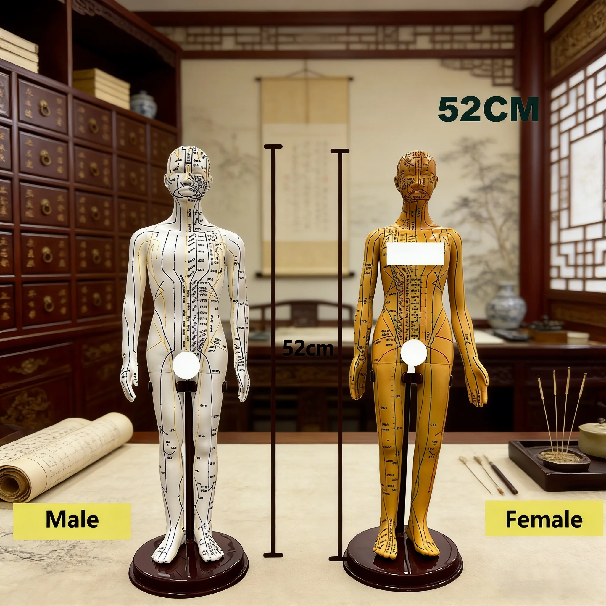 Medical Chinese Medicine Meridians Acupuncture Moxibustion 52cm Model Point Mannequin Acupuncture Model Gold White Faster Ships