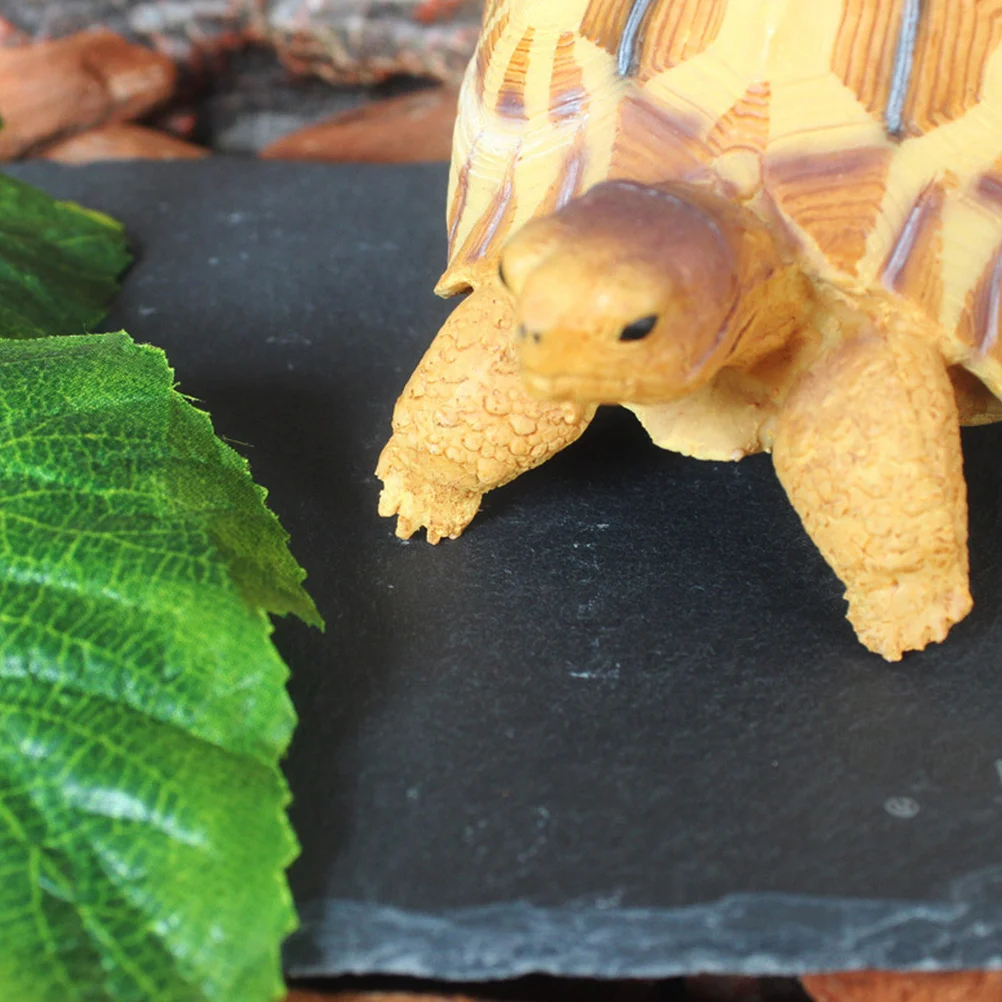 

1Pcs Reptile Food Plate Stone Board Turtle Stone Board Tortoise Resting Plate Fish Tank Supply Fish Tank Supply