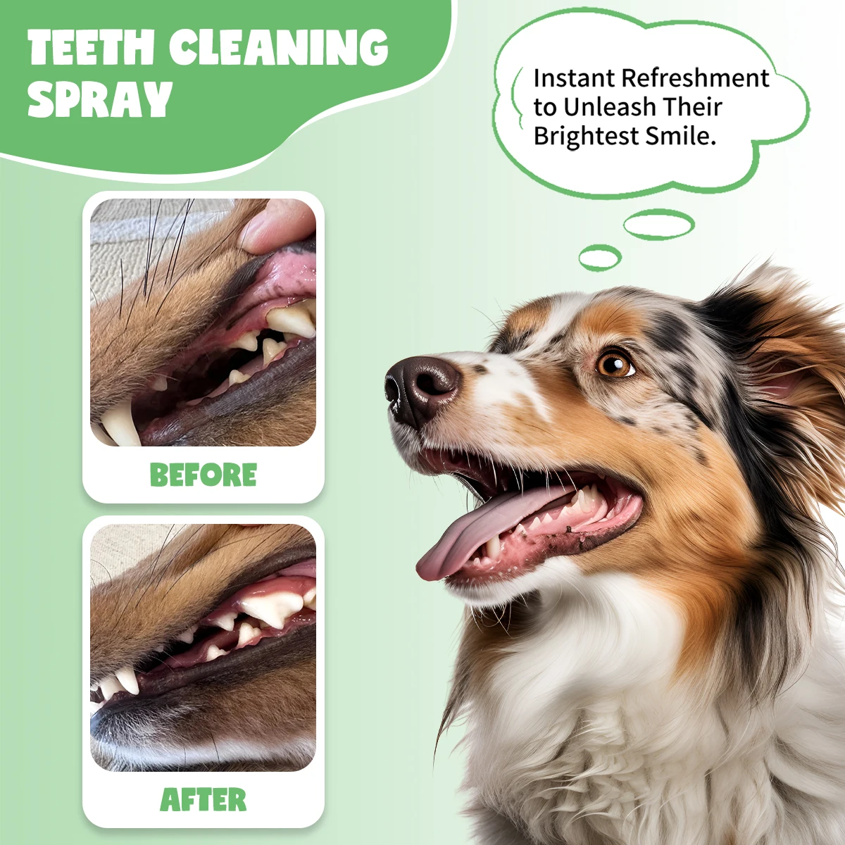 Pet Dental Spray for Dogs & Cats Fresh Mint Breath Freshener No Brushing Plaque Tartar Remover Plant Based Gentle Oral Care