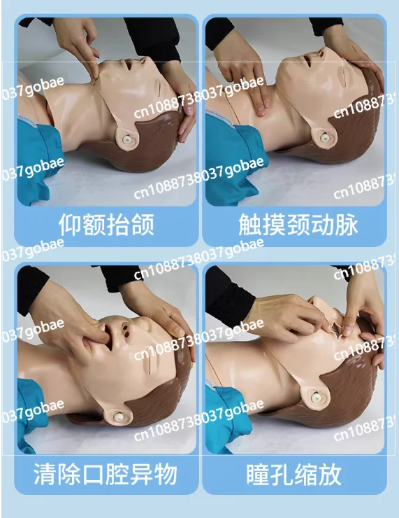 Simulated CPR and defibrillation training teaching model to train wholesale cardiopulmonary resuscitation simulators