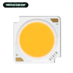 10 pz 19mm 10W 20W 30W 40W 50W Bridgelux LED Chip COB diodo a emissione luminosa importato DC30-33V fai da te accessori sorgente luminosa a binario