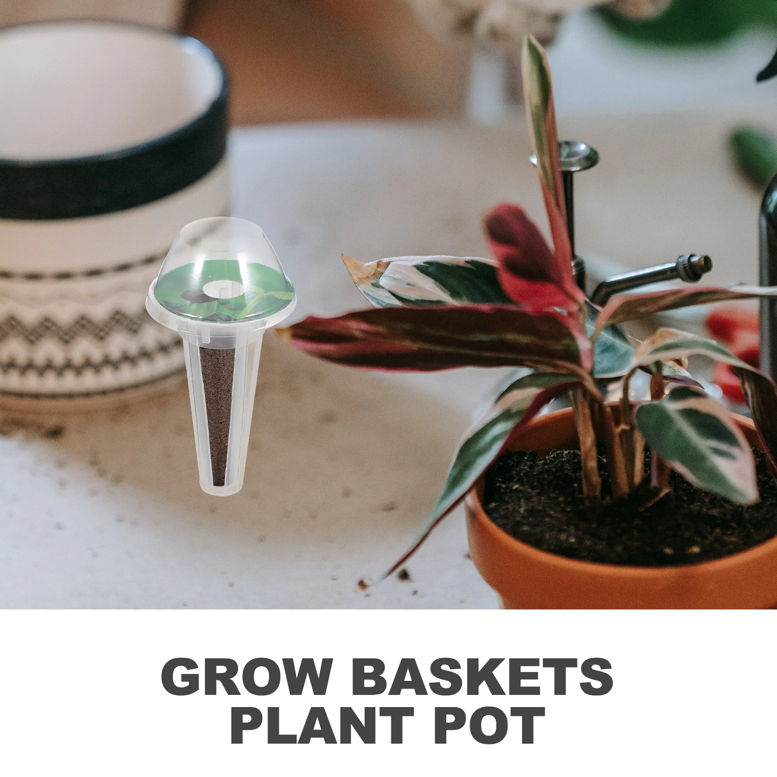 1 set Hydroponic Net Pots With Humidity Domes Grow Baskets For Indoor Hydroponic System Micro Container Garden