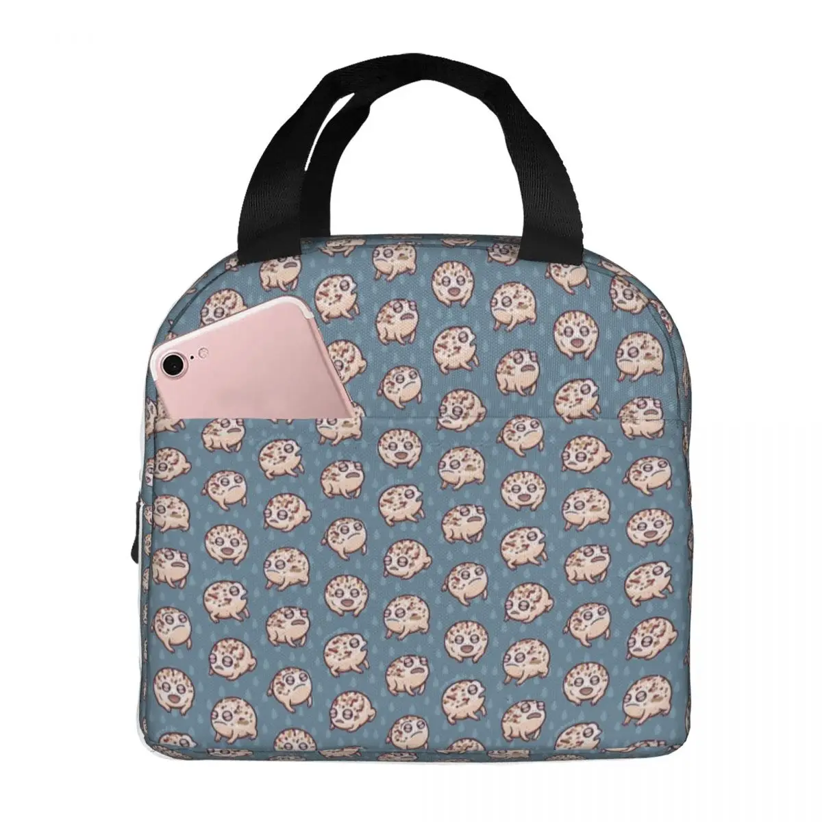 Desert Rain Frog Lunch Bags Insulated Bento Box Portable Lunch Tote Leakproof Cooler Thermal Bag for Woman Kids Office