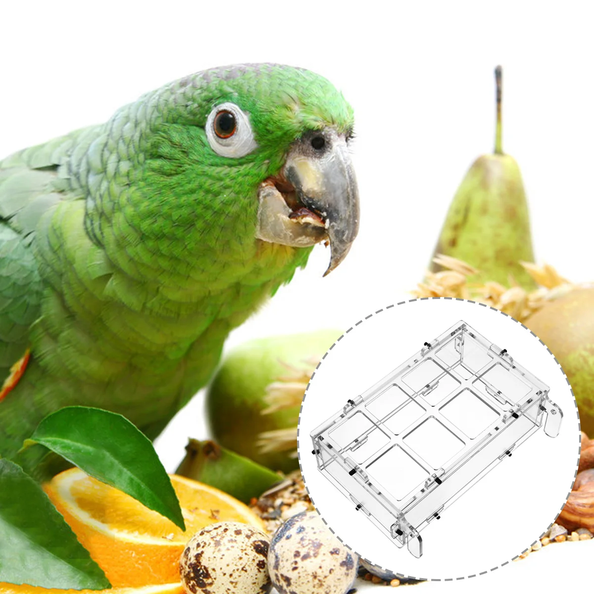 

8 Slots Bird Feeding Box Acrylic Transparent Anti-Splash Design Bird Food Dispenser for Parrot Budgie Cockatiel Cage