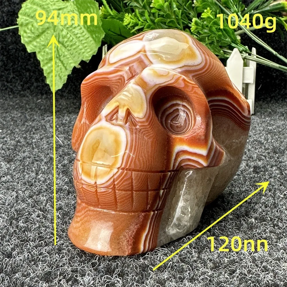 Natural Crystal Red Agate Agate Skull Carving Reiki Altar Feng Shui Healing Quartz Statue Crafts Home Decoration Halloween Gift