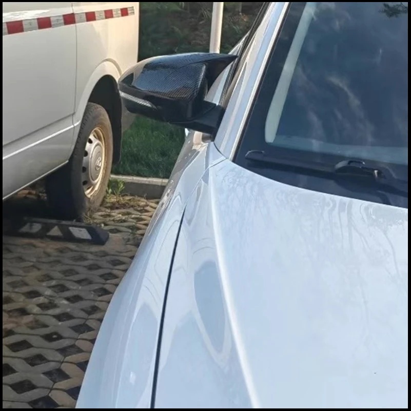 

Car Styling For Hyundai Tucson 2015-2019 Rearview Mirror Cover Shell Housing With OX Horn Trim Auto Parts Accessories