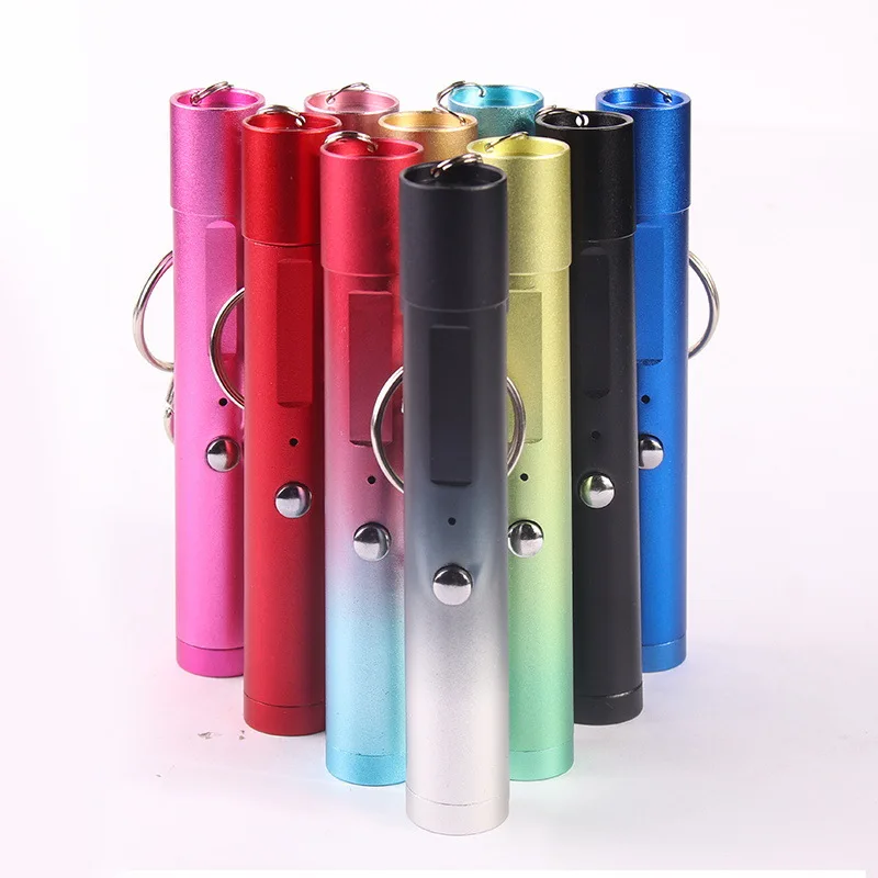 Mini 2 in1Cat Keychain Fun Pointer مؤشر ليزر محمول LED التدريب الشعلة الحيوانات الأليفة القط دغدغة لعبة مصباح يدوي