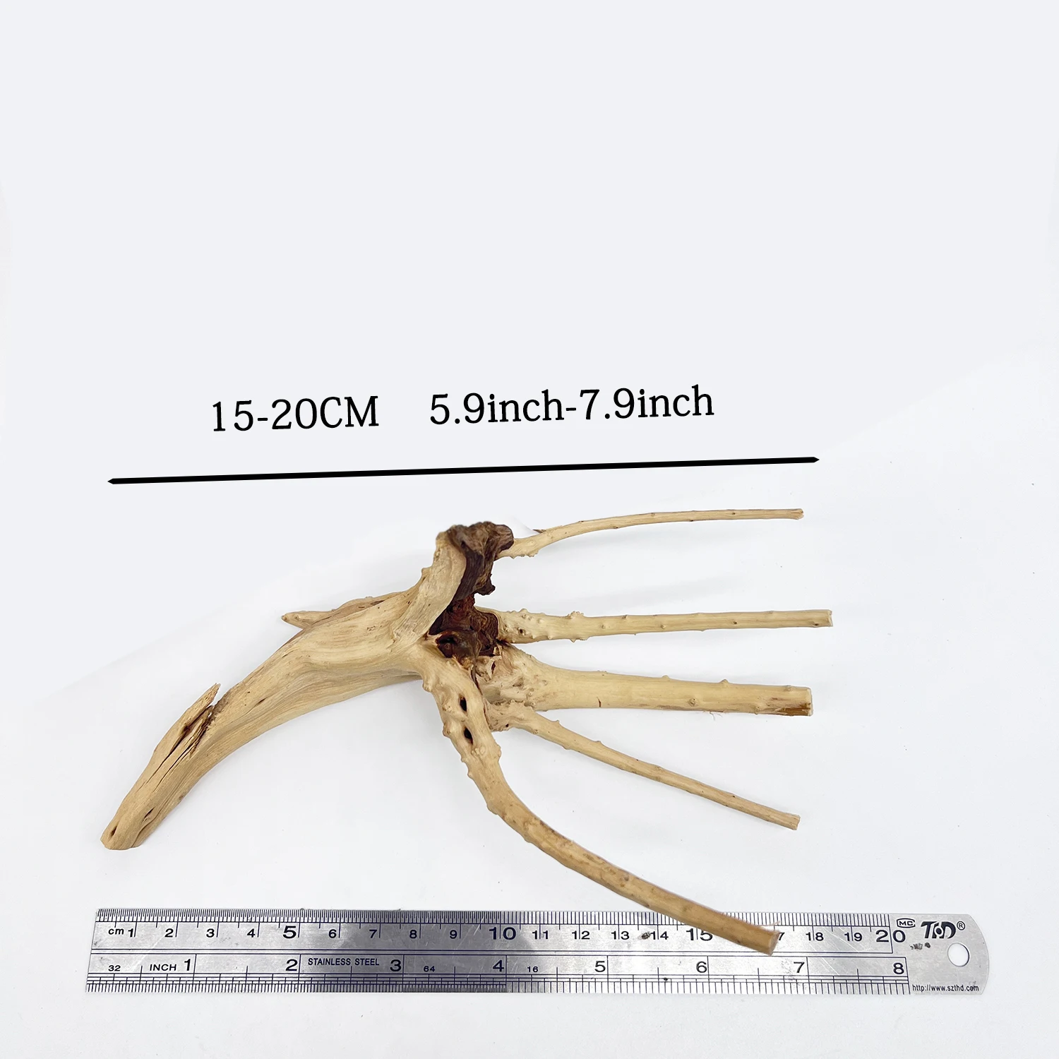 1/2PCS ธรรมชาติ Rhododendron R - Aquarium Fish Real บทวิจารณ์และราคา